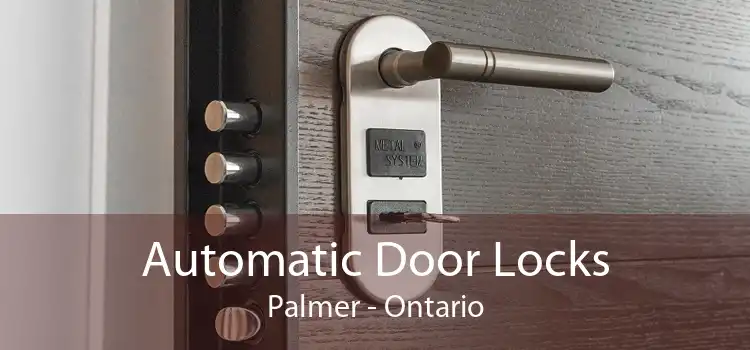 Automatic Door Locks Palmer - Ontario