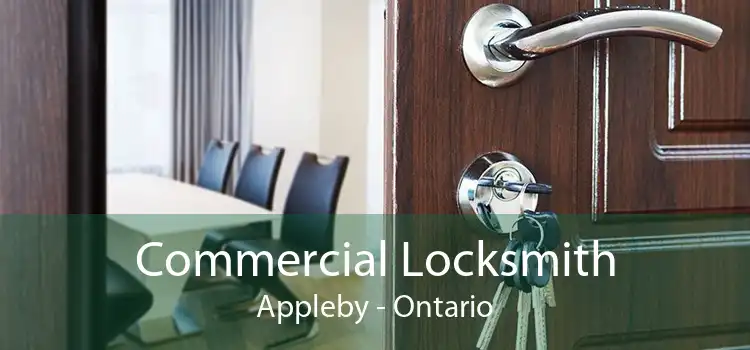 Commercial Locksmith Appleby - Ontario