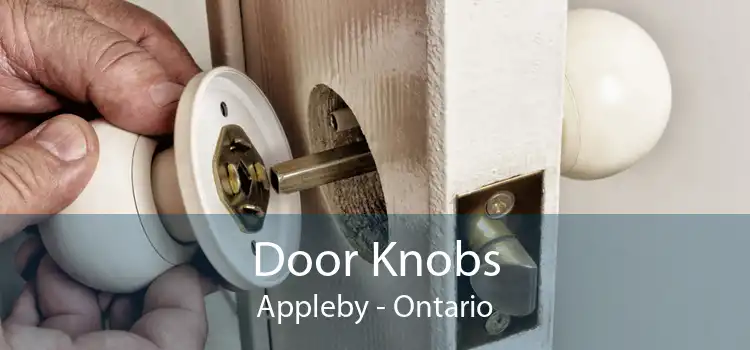 Door Knobs Appleby - Ontario