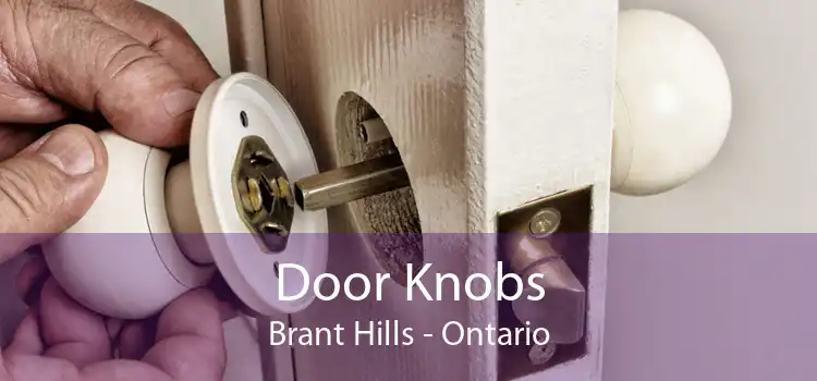 Door Knobs Brant Hills - Ontario