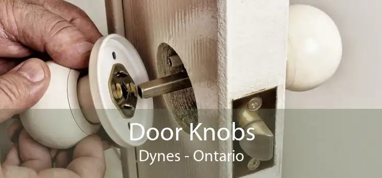 Door Knobs Dynes - Ontario