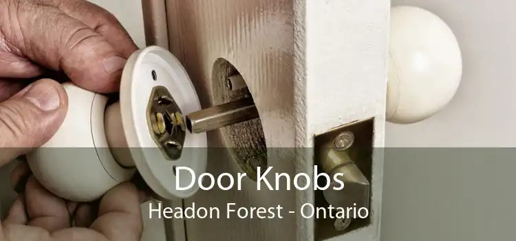 Door Knobs Headon Forest - Ontario