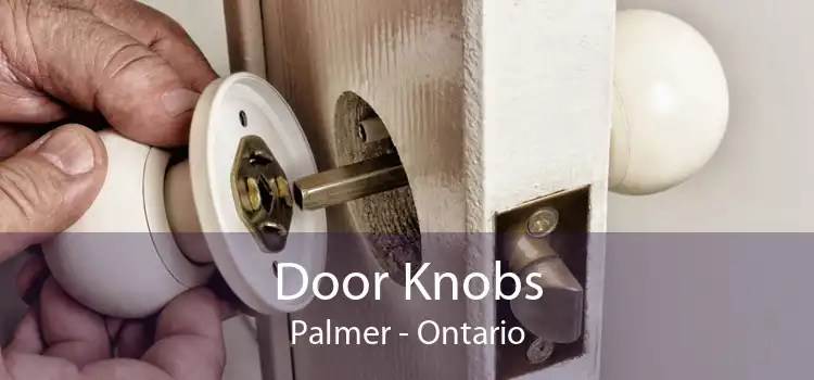 Door Knobs Palmer - Ontario