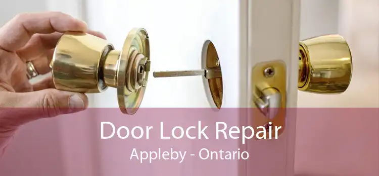 Door Lock Repair Appleby - Ontario