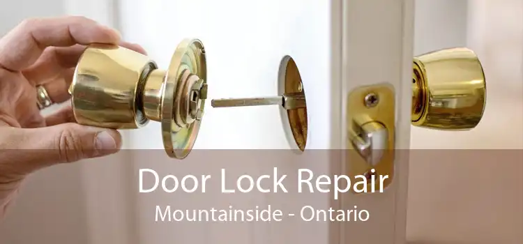 Door Lock Repair Mountainside - Ontario