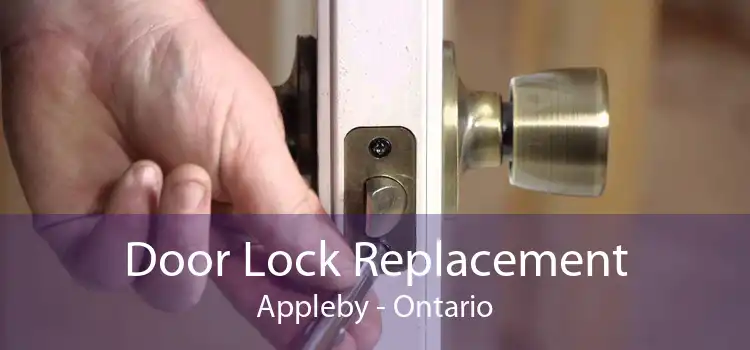 Door Lock Replacement Appleby - Ontario