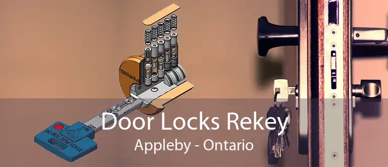 Door Locks Rekey Appleby - Ontario