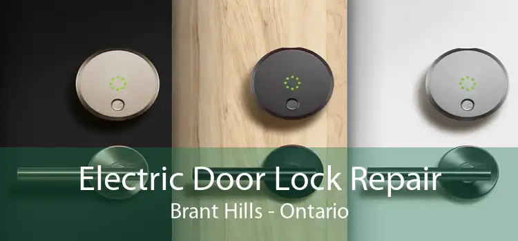 Electric Door Lock Repair Brant Hills - Ontario