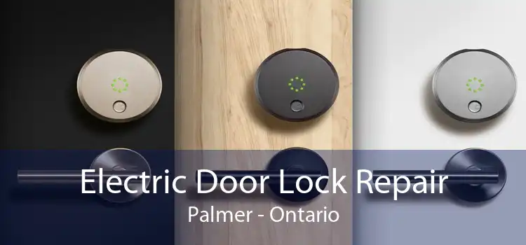 Electric Door Lock Repair Palmer - Ontario
