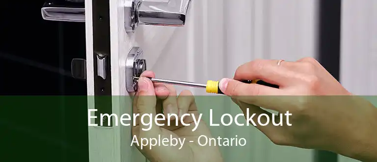 Emergency Lockout Appleby - Ontario