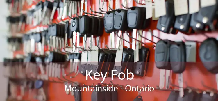 Key Fob Mountainside - Ontario