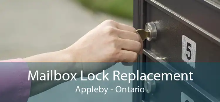 Mailbox Lock Replacement Appleby - Ontario