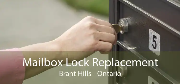 Mailbox Lock Replacement Brant Hills - Ontario