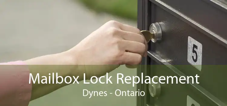 Mailbox Lock Replacement Dynes - Ontario
