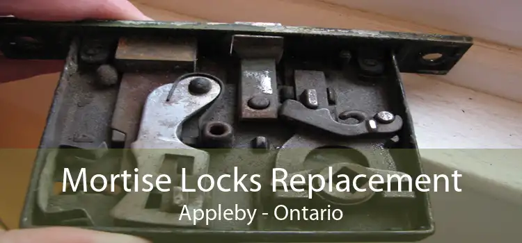 Mortise Locks Replacement Appleby - Ontario