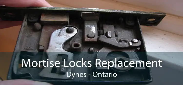 Mortise Locks Replacement Dynes - Ontario