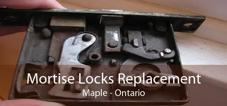 Mortise Locks Replacement Maple - Ontario