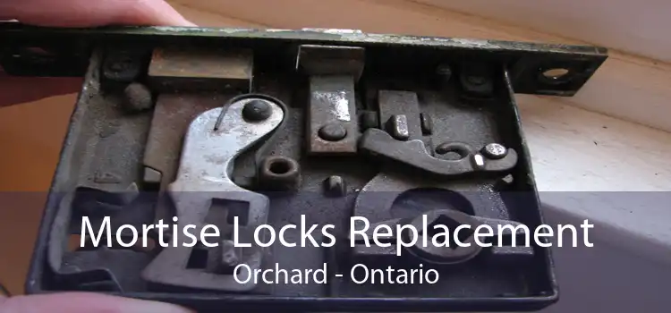 Mortise Locks Replacement Orchard - Ontario