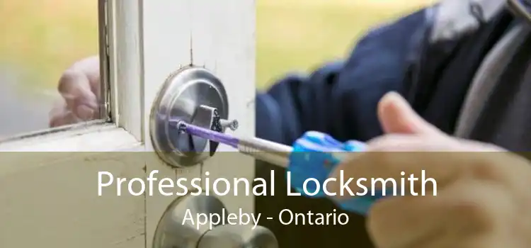 Professional Locksmith Appleby - Ontario