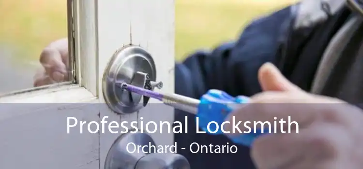 Professional Locksmith Orchard - Ontario