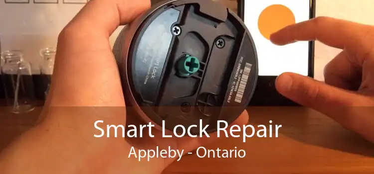 Smart Lock Repair Appleby - Ontario