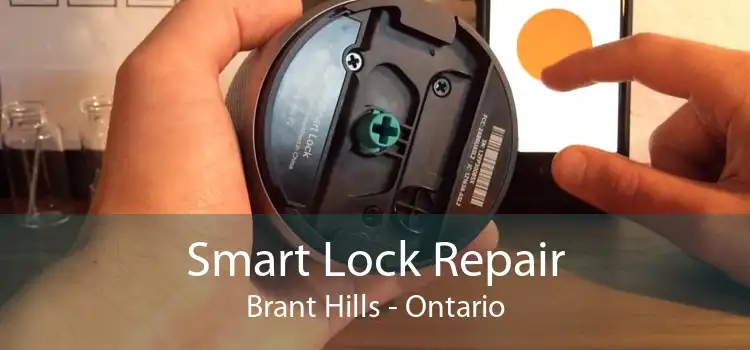 Smart Lock Repair Brant Hills - Ontario