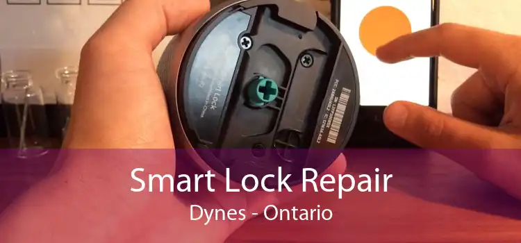 Smart Lock Repair Dynes - Ontario