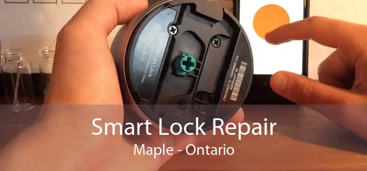 Smart Lock Repair Maple - Ontario
