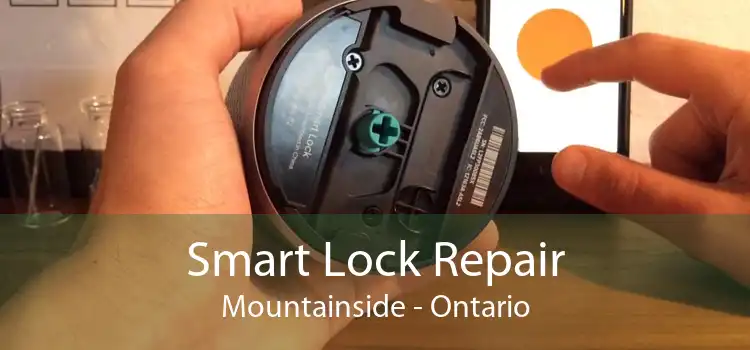 Smart Lock Repair Mountainside - Ontario