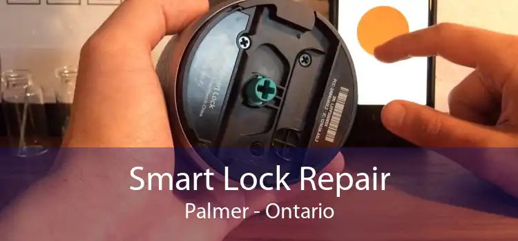 Smart Lock Repair Palmer - Ontario