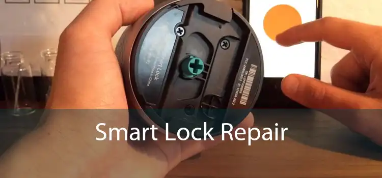 Smart Lock Repair 